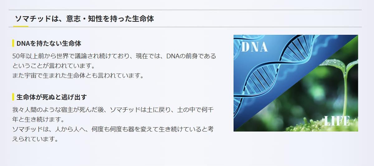 Amazon.co.jp: 奇跡の鉱石 ソマチ ソマチッド を豊富に含んだ鉱石 粉